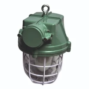 FLP/WP WELL GLASS FITTINGS